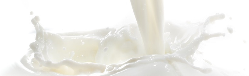 lactose